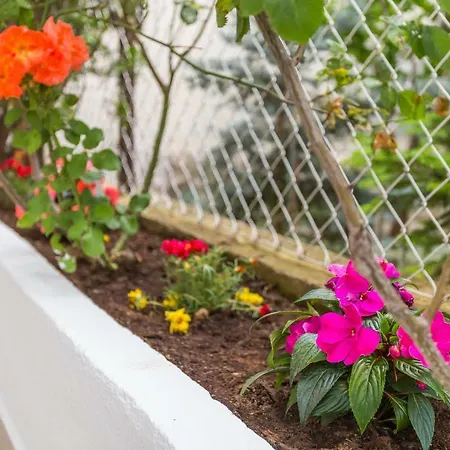 Leon-sara With Shaded Patio And Garden View 스플리트