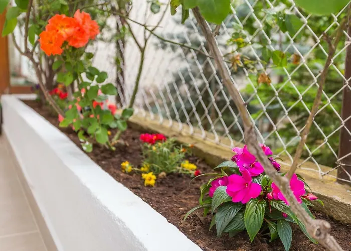 Leon-sara With Shaded Patio And Garden View Split